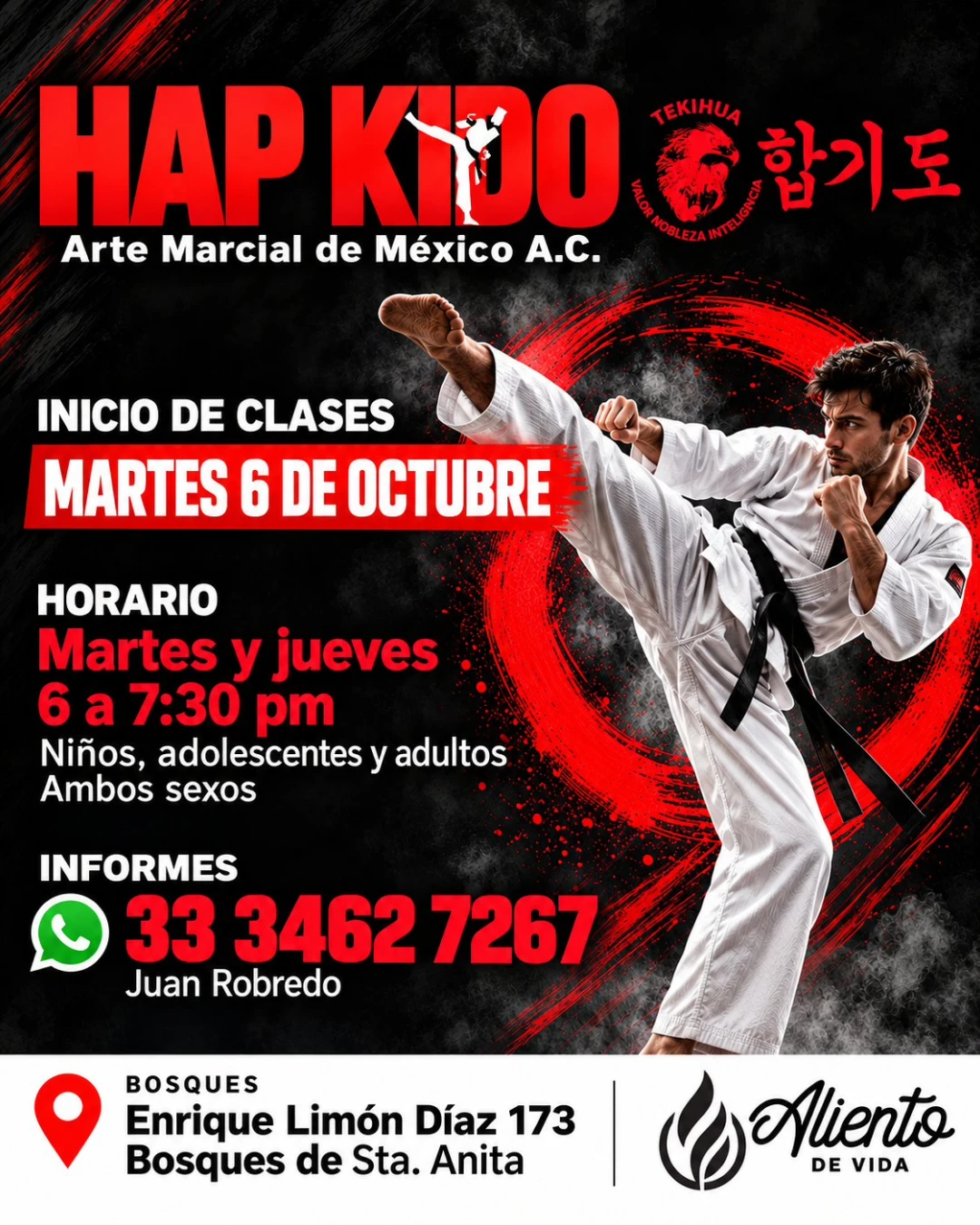 HAP KIDO